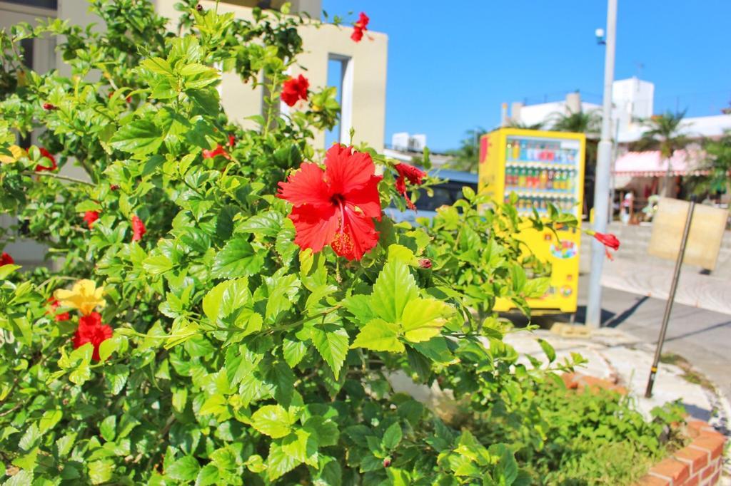 Guest House Route 6 Йомитан Екстериор снимка